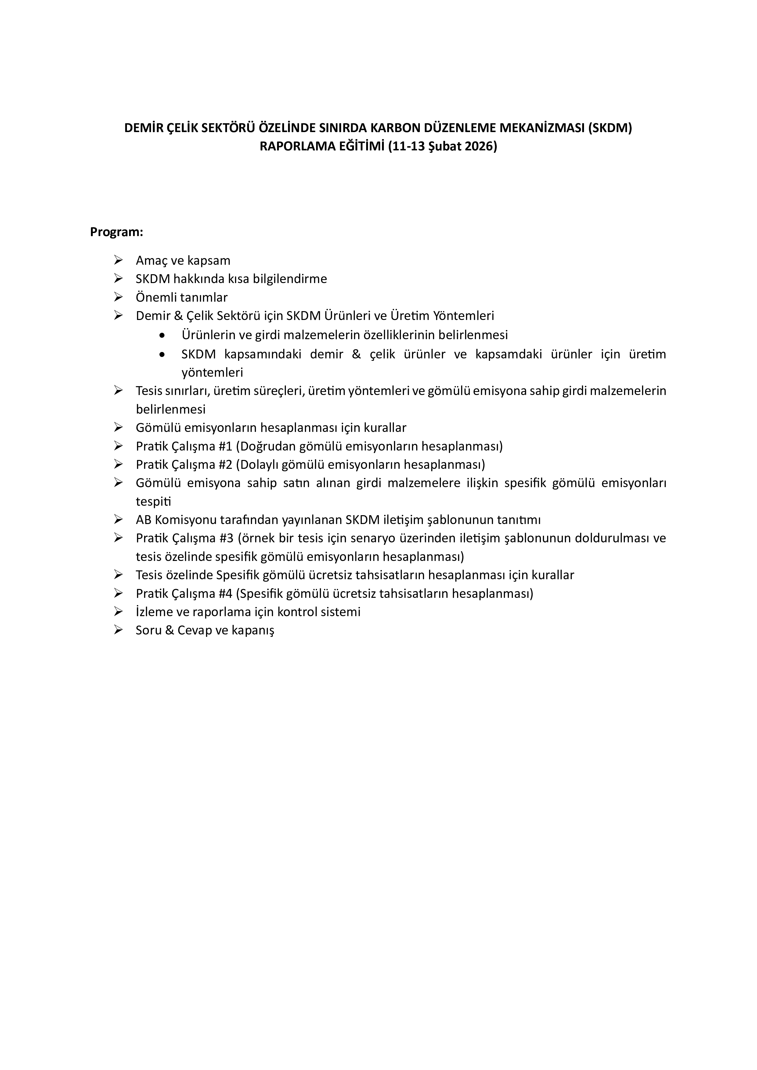 DEMİR ÇELİK SEKTÖRÜ ÖZELİNDE SINIRDA KARBON DÜZENLEME MEKANİZMASI (SKDM) RAPORLAMA EĞİTİMİ 